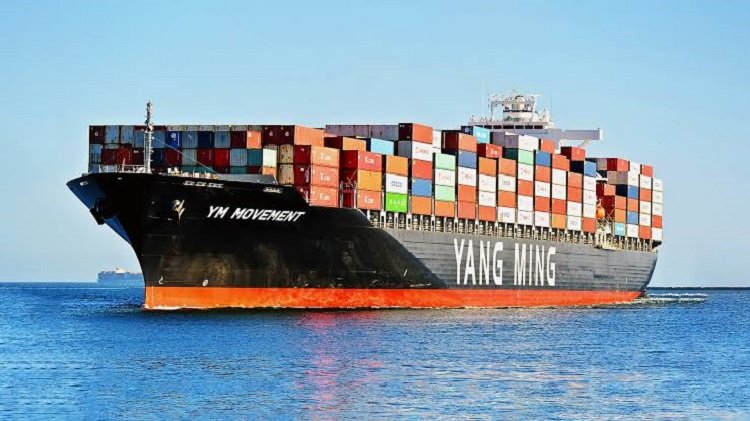 قفزة هائلة في إيرادات وأرباح يانج مينج للنقل البحري في 2024