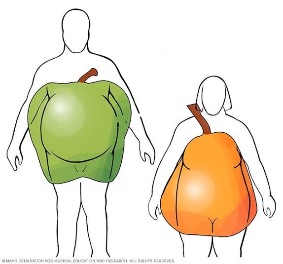 هل أنت "تفاحة" أم "إجاصة"؟