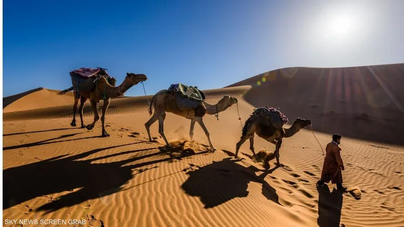 سفينة الصحراء