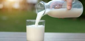 حمض اليوريك