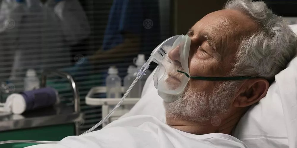 حرائق الغابات