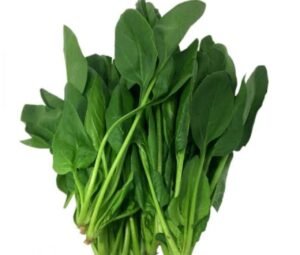 حمض اليوريك