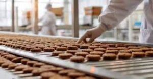 مشروع مصنع بسكويت