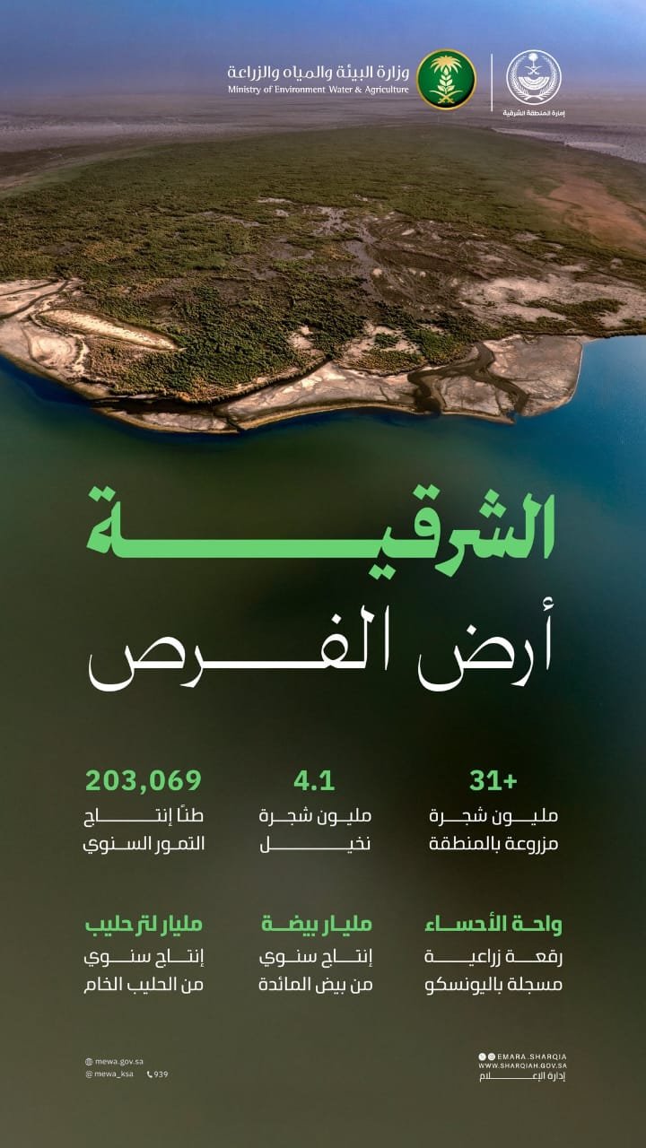 المنطقة الشرقية.. "أرض الفرص" ورمانة الميزان في "رؤية السعودية 2030"
