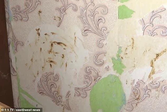 «مات جوعًا في الظلام».. مأساة إنسانية كشفت أبشع وجوه الإهمال الإنساني بأوكرانيا