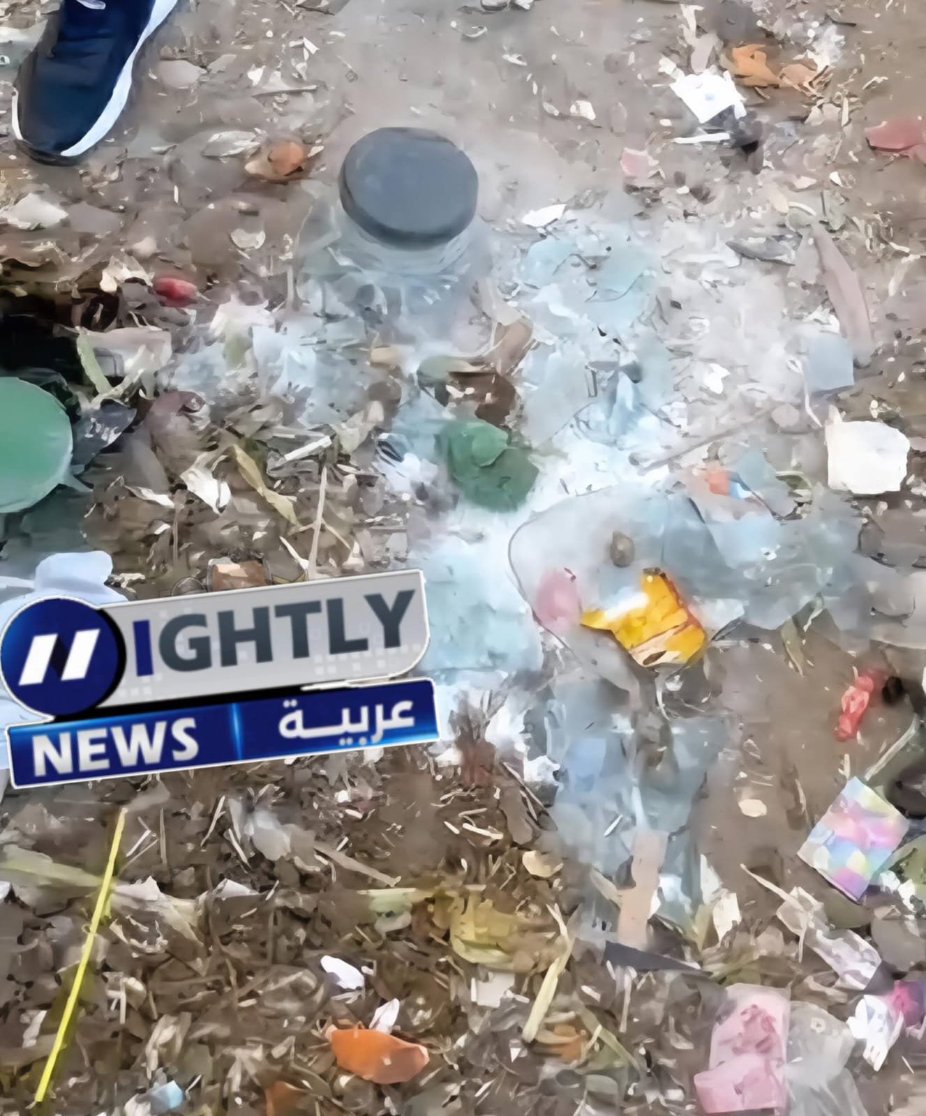 أجنّة بشرية وسط القمامة