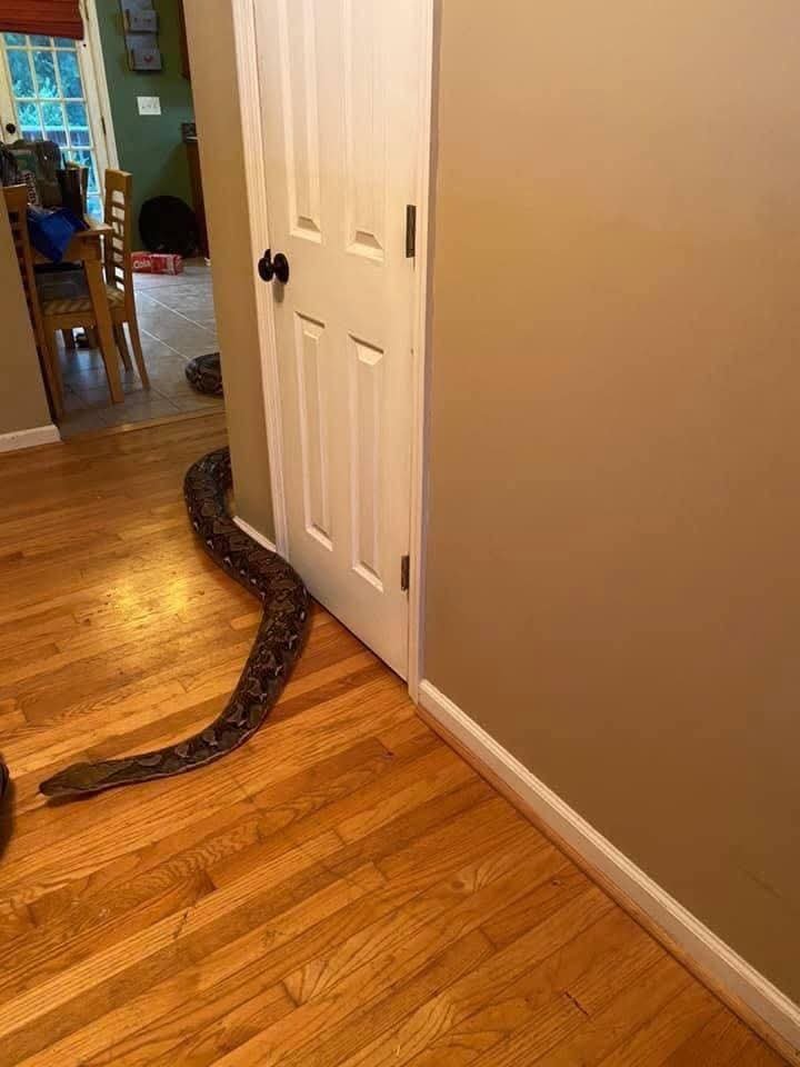 غزو المنازل بلا استئذان